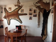Our kitchen cabin is where all the complimentary meal are prepared daily.